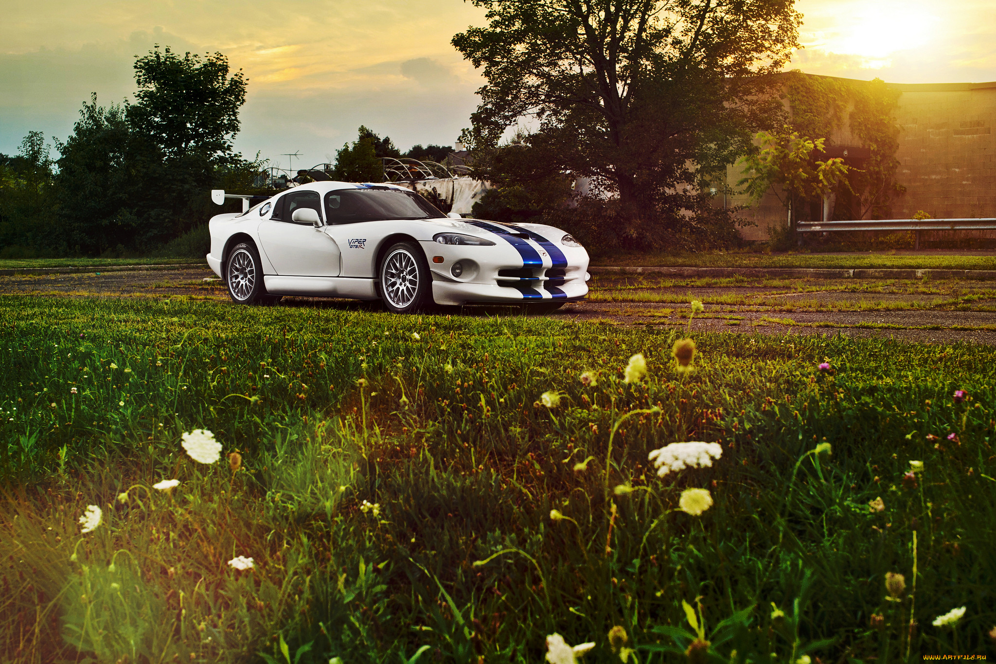 , dodge, viper